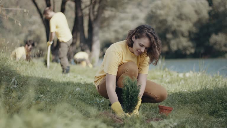 Best Root Management and Removal  in West Buechel, KY